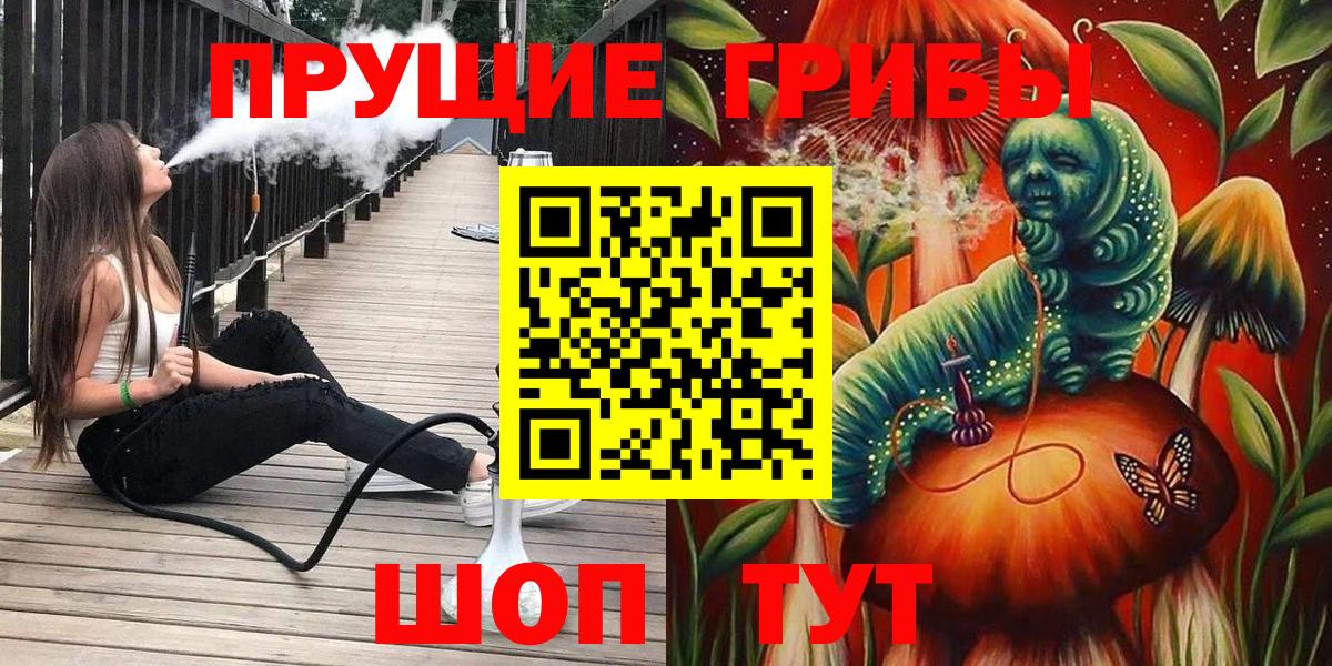 Подольск  Галлюциногенные грибы прущие грибы  Вход с VPN 